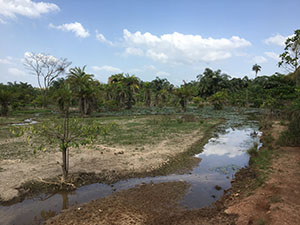 Anopheles gambiae breeding sites Southern Ghana